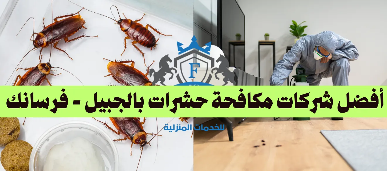 شعار شركة فرسانك مع خلفية لمدينة الجبيل كدليل على ريادتها كأفضل شركة مكافحة حشرات